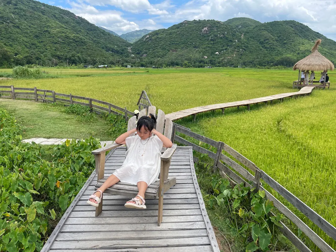 Cầu gỗ bắc qua suối tại Đồng Cừu Suối Tiên Cam Ranh