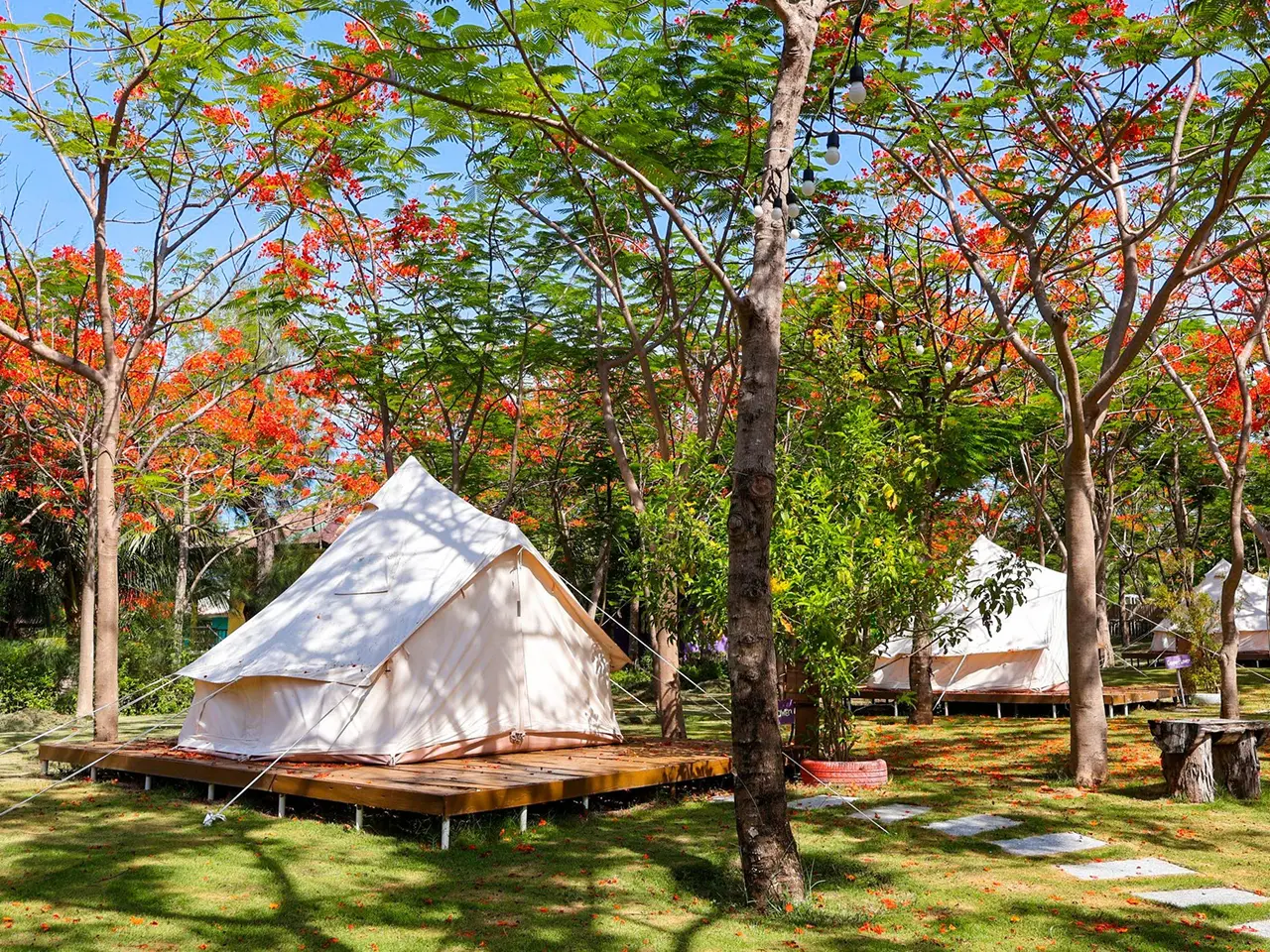 Cắm trại BBQ tại Dốc Lết Dịch vụ cắm trại BBQ tại khu resort ở Dốc Lết