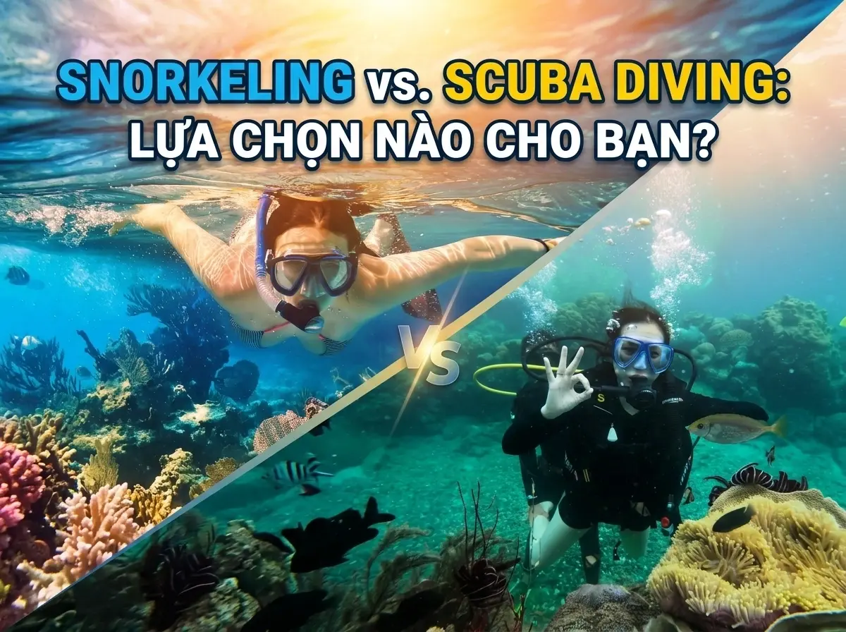 Snorkeling khác gì Scuba Diving So sánh trải nghiệm snorkeling và Scuba Diving tại Nha Trang