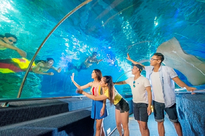 Show diễn nàng tiên cá tại Thủy cung VinWonders Phú Quốc Màn trình diễn bơi lội nghệ thuật nàng tiên cá lãng mạn tại Thủy cung VinWonders Phú Quốc